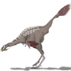 Artist’s impression of Caudipteryx.